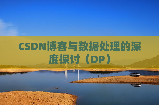 CSDN博客与数据处理的深度探讨（DP）